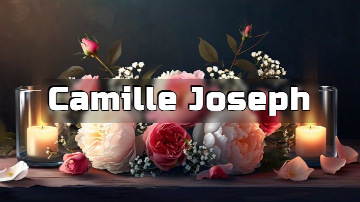 Camille Joseph, shopping center