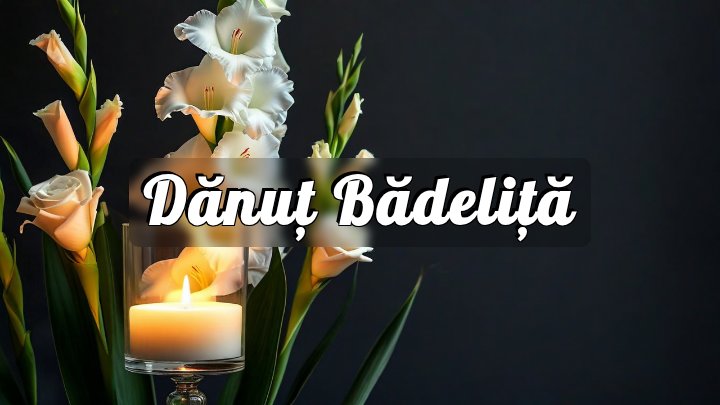 Dănuț Bădeliță, Belgium